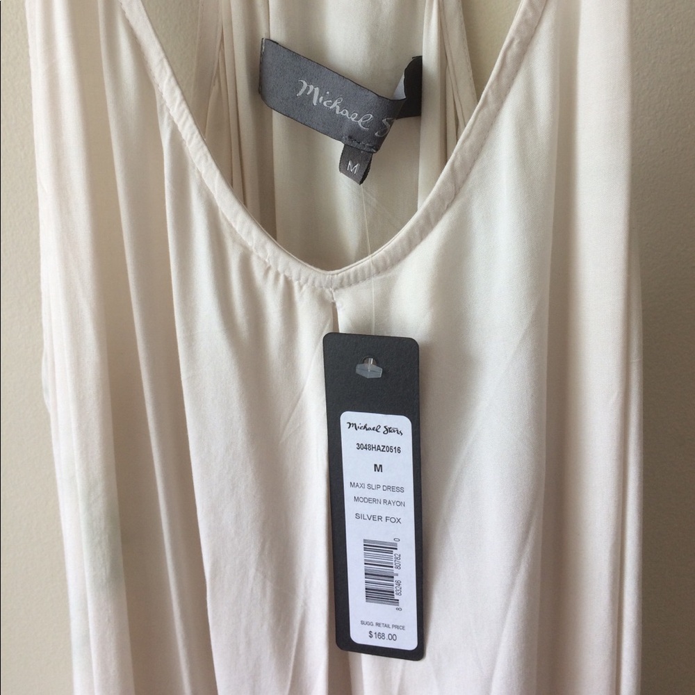Michael Stars Silver Fox Maxi Slip Dress - Picture 5 of 7